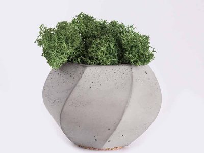 plant4-free-img