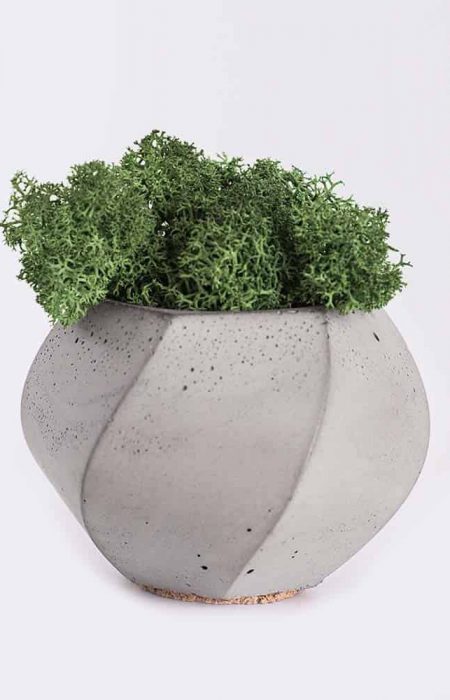 plant4-free-img