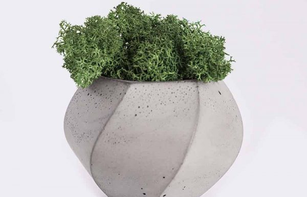 plant4-free-img