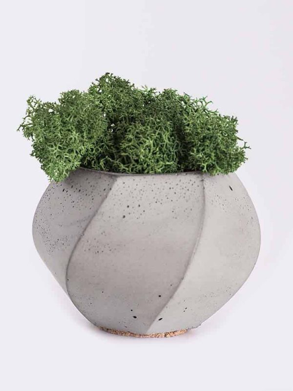 plant4-free-img