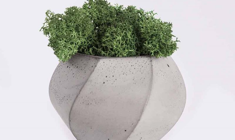 plant4-free-img